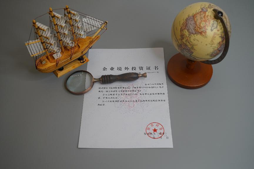 企业境外投资 企业境外投资