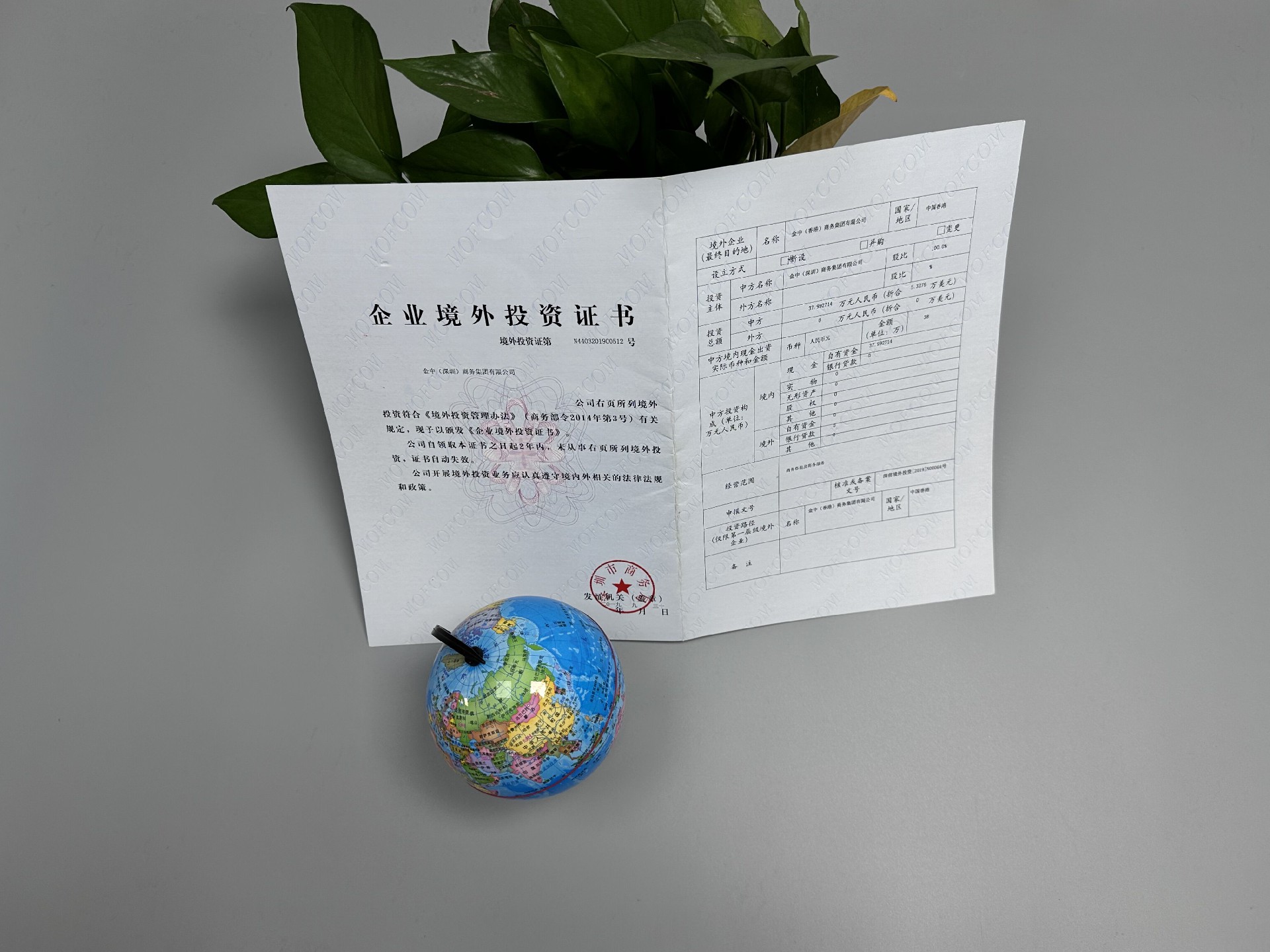 企业境外投资 企业境外投资