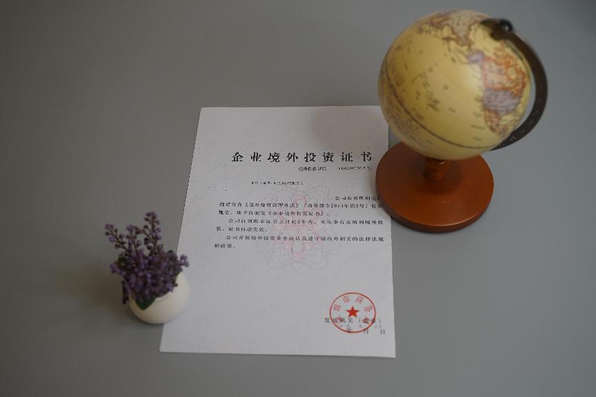 企业境外投资 企业境外投资
