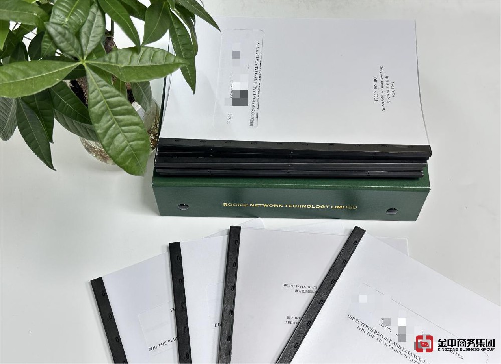 香港公司年审 香港公司年审