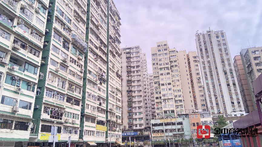 香港专才计划 香港专才计划